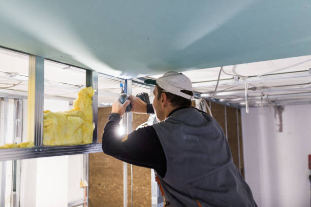Best Blown-in Insulation in Boles Acres, NM