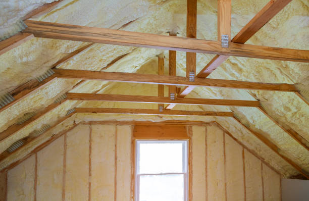 Best Spray Foam Insulation in Boles Acres, NM