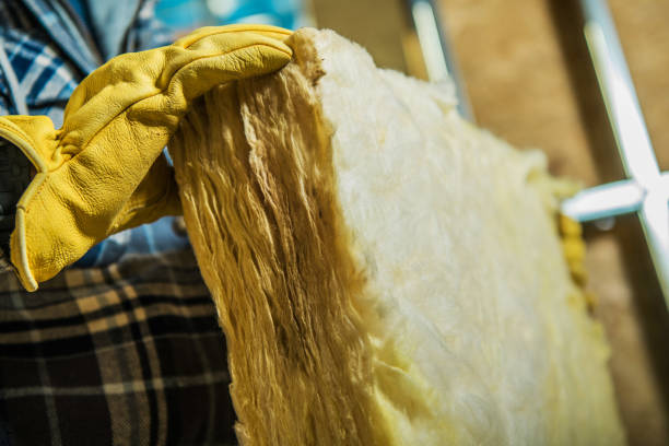 Best DIY Insulation Kits and Guidance in Boles Acres, NM