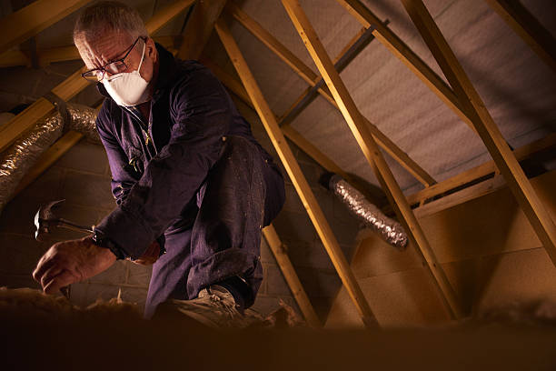 Best Geographic-Specific Insulation Services in Boles Acres, NM